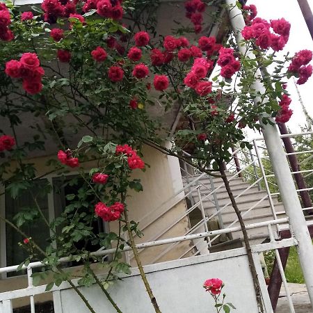 Mti House Hotel Kvesheti Kültér fotó