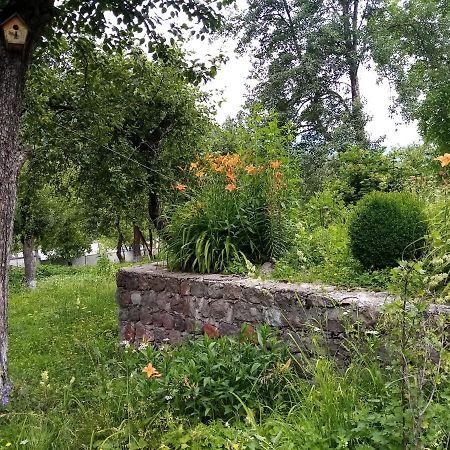 Mti House Hotel Kvesheti Kültér fotó