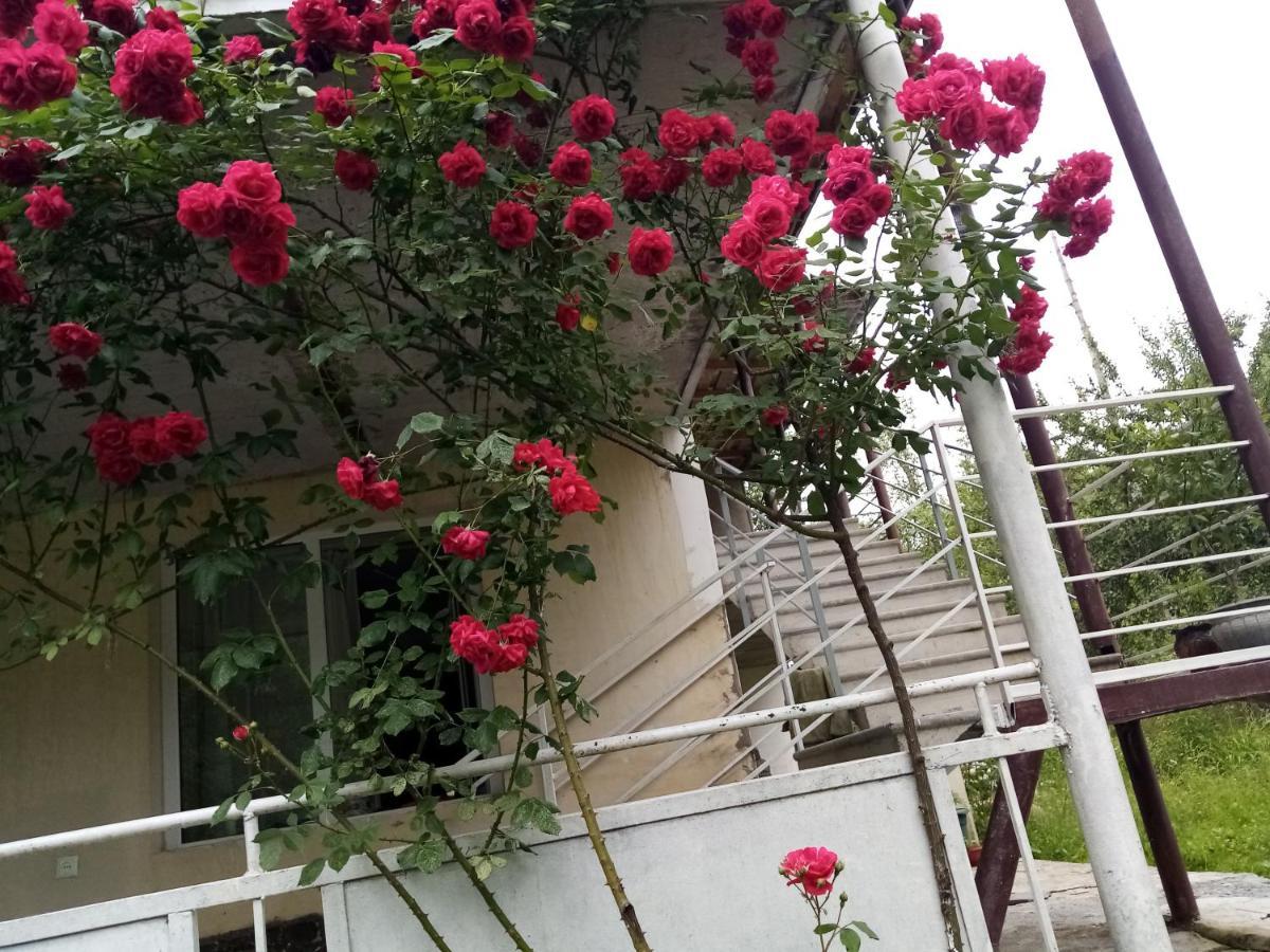 Mti House Hotel Kvesheti Kültér fotó